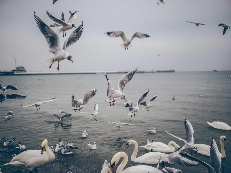 windows screenshot 3