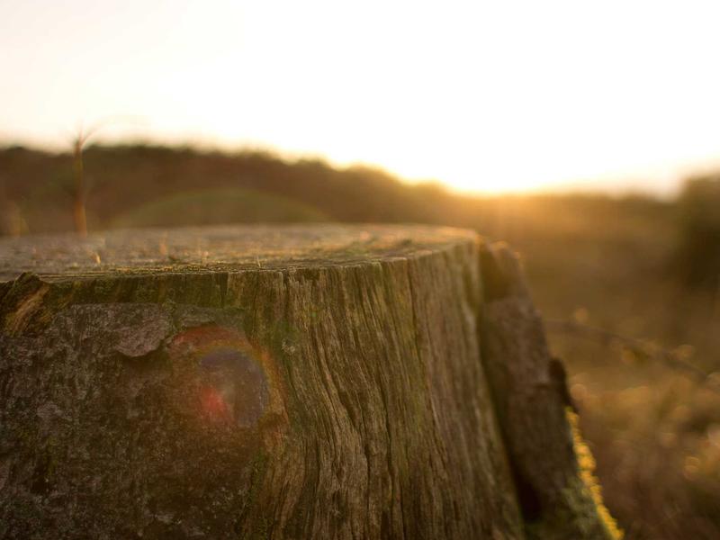 sudoku retro theme screenshot 4